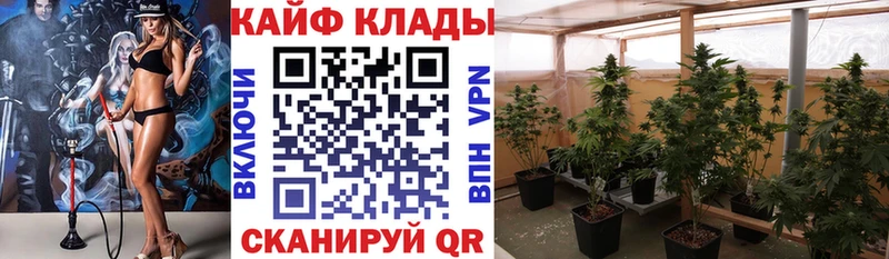 Где можно купить наркотики Приволжск АМФ  КОКАИН  блэк спрут зеркало  Меф  ГАШИШ  Бошки Шишки  APVP 