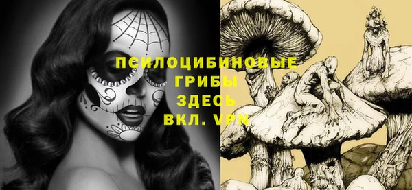 каннабис Новодвинск