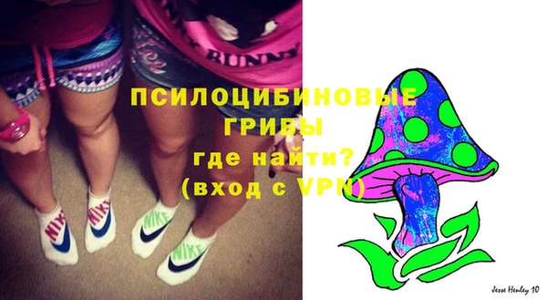 каннабис Новодвинск